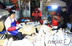 [화보] 설앞두고 붐비는 광주양동시장