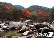 단양군 선암계곡 생태유람길조성된다