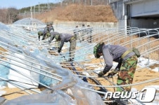 폭설 피해 비닐하우스 맨손 수리한 장병들