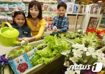 롯데마트 우리집에 텃밭 들여놓으세요
