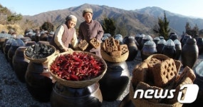 장이 익어가는 마을
