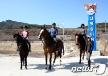 승마체험하러 왔어요
