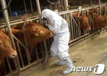 진주시, 가축 방역체계 구축…예방약·소독약품 지원