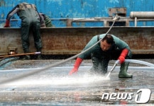 지북정수장 봄맞이 때 벗기기 한창