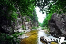 명승 지정된 용연계곡 수직절벽