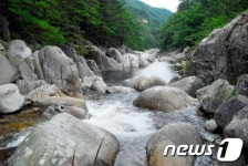 명승 지정된 용연계곡