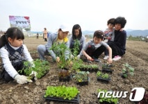 주말 농장 텃밭 가꾸는 가족들