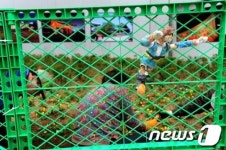 대한문 앞 울타리