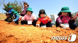 감자야 잘 자라렴