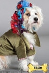 780만원짜리 명품 강아지 옷 화제
