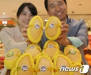 [단신]롯데百포항점.열대 과일의 여왕 망고 드세요