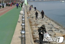 목포시 대규모 행사 앞두고 클린 목포 가꾸기 주력