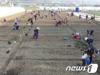 전남 장성군, 주말 텃밭농장 개장
