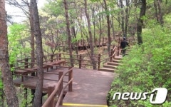 진해 제황산 공원에 숲 둘레길 만든다