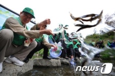 미꾸라지 방류하는 서초구 새마을 방역봉사대