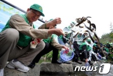 미꾸라지 방류하는 서초구 새마을 방역봉사대