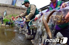 서초구, 미꾸라지 방류