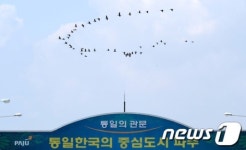 새들은 개성으로 가는 길을 알고 있을까(?)