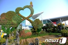 고양으로 꽃 구경오세요