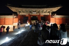 봄날 창경궁으로 간다