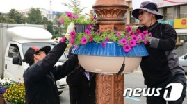 [단신] 대전 중구, 중앙로 꽃 특화거리 조성