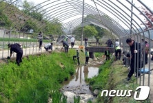 [단신]대전 서구, 증촌도랑서  덩굴식물 식재 행사
