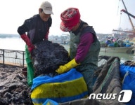 해남 물김 위판고 486억…역대 최고액
