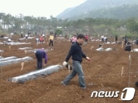 충남도, 행복한 주말농장 개장