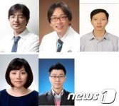 '빈 방 구조 MRI 조영제' 개발…약물전달·배터리 재료 가능