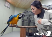 울산에 전국 최대 앵무새 정원 준공