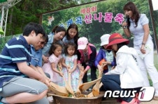 [단신] 인제 진동계곡서 산나물 축제