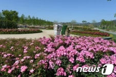 [순천정원박람회]  야수의 장미 정원 인기