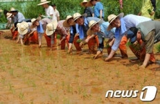 농부의 마음으로