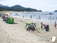 신안 임자 대광해수욕장 내달 1일 개장