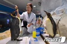 해양동물 건강검진