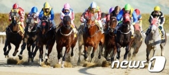 부산경남경마공원, 6월 8일 동안 64경주 시행