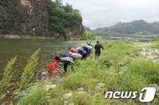 평창군, 평창강 유역에 향토어종 치어 방류