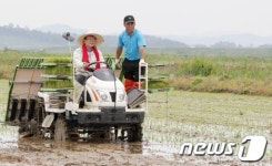 이앙기 탄 이동필 장관