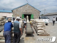 영암군 청보리종자 공급…축산농가 호응