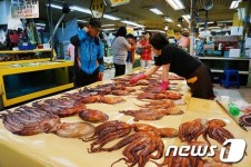 [풍경] ‘강릉 중앙·성남 어시장’ 신선함이 가득