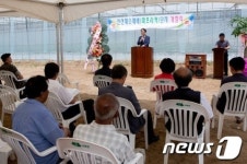 인제 용늪대바위마을, 채소재배단지 개장