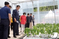 인제 용늪대바위마을, 채소재배단지 개장