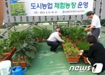 농협전주완주시군지부, 옥상 체험농장 눈길