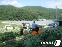 [단신] 청원군 낭성면 신만수씨 배추 5천포기 성덕원 전달