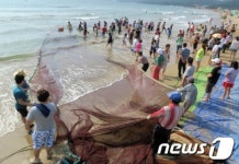 울주군서 후릿그물 당기기 체험행사 진행