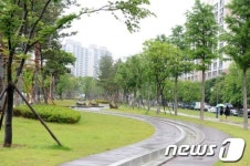 포항 도심속 숲길, 힐링 장소로 각광