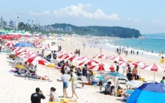 보령 대천해수욕장 개장…내달 19일 머드축제 개막