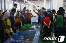 보성 회천수산물위판장서 첫 경매 열려