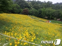 [풍경]초여름 자연 속 김포 하성면