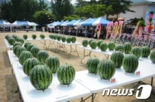 다올찬 수박축제 열려…음성 맹동
